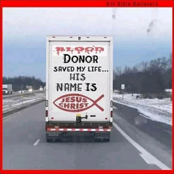 Meet your Posher, Debbie🔆Posh Ambassador🔆 - Picture 2 of 12